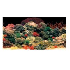 Fondo Acuario Doble Cara Ferplast Blu 9054 (120x50 cm)