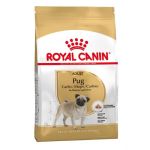 Royal Canin Carlin (Pug)