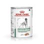 Royal Canin Dog GlycoBalance (Boîte)