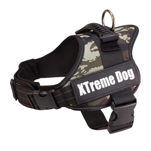 Harnais Xtreme Dog Camouflage