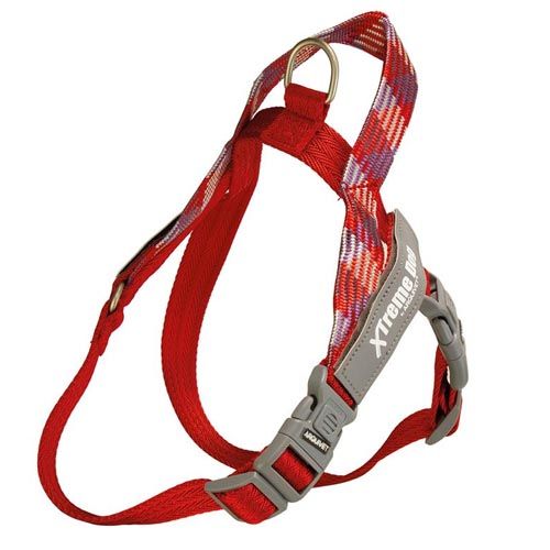 Harnais Xtreme Dog Piemonte Rouge