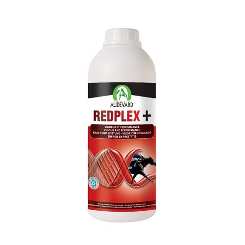Redplex Chevaux