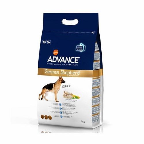 Advance German Shepherd (Berger Allemand)