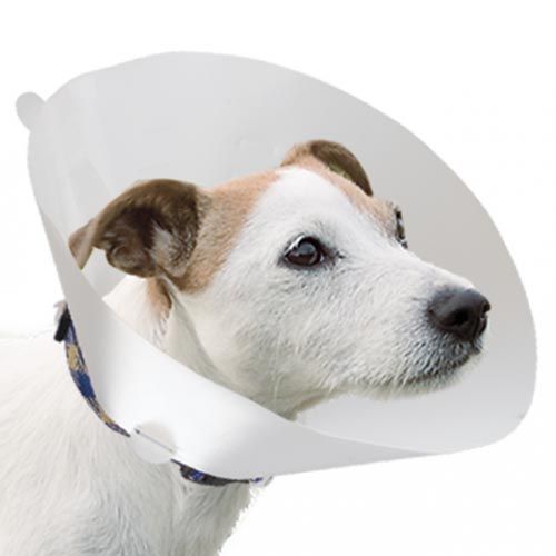 Collier vétérinaire pour chiens