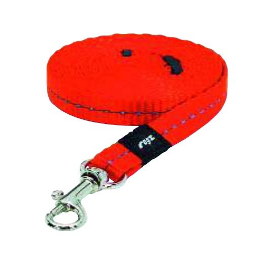 Laisse pour chien Rogz Nitelife (S - Largeur 11 mm.)