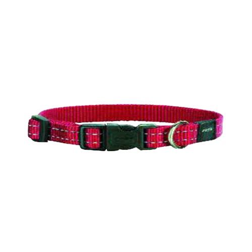 Collier pour chien Rogz Snake (M - Largeur 16 mm.)