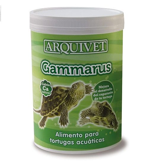 Arquivet Gammarus tortugas (Expédition 3 - 5 jours)