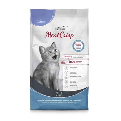 Platinum Cat Kitten Fish
